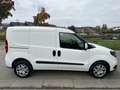 Fiat Doblo Doblo 1.3 JTD CARGO SX NAV CAMERA 3 PLACES TVA GAR Blanc - thumbnail 4