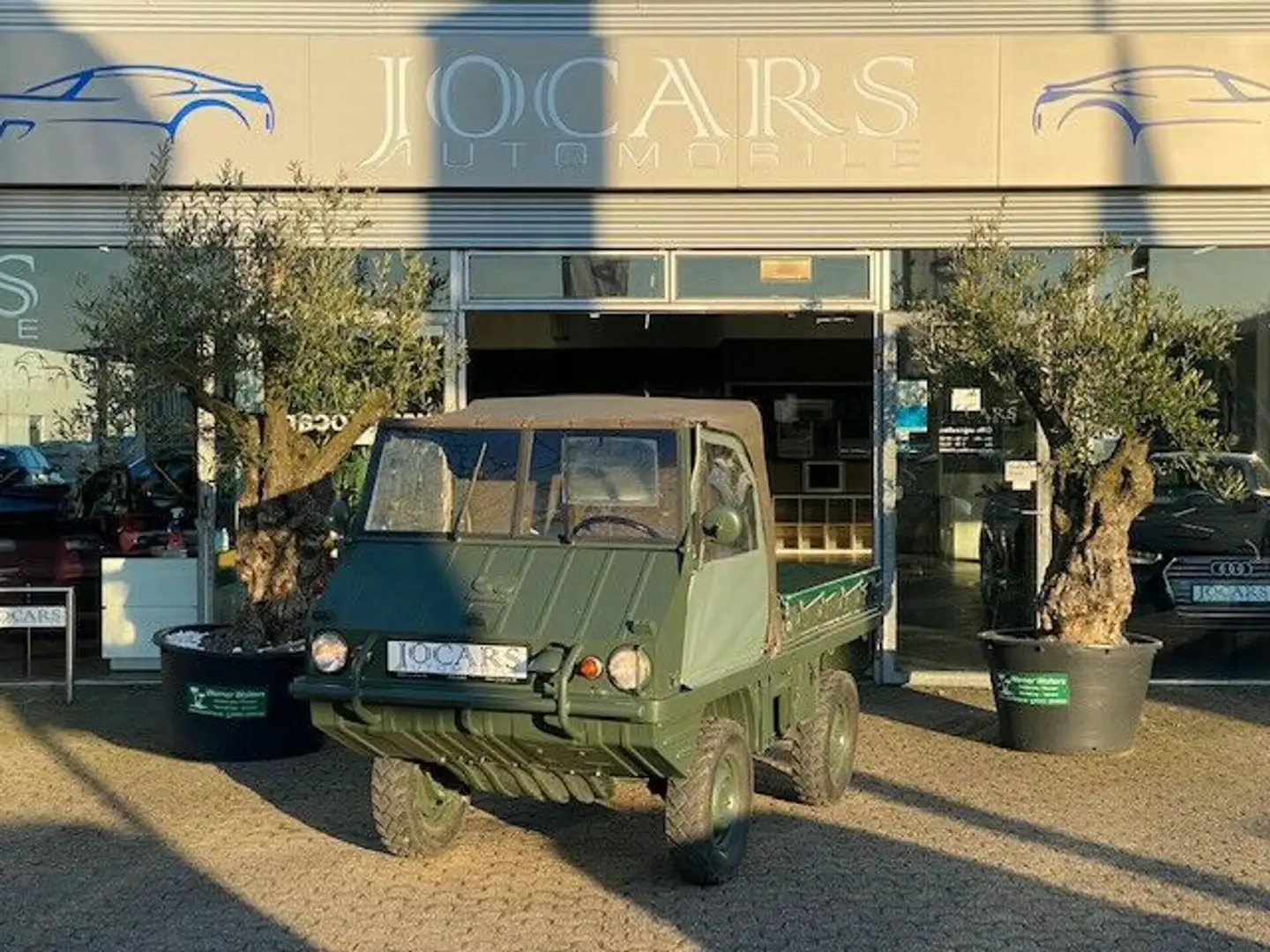 Pozostałe Inny Steyr D PUCH Haflinger I aufw.Restauriert Zielony - 2