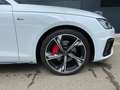 Audi A4 A4 Avant 40 TDI quattro S line competition+ AHK Blanc - thumbnail 10