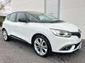 Renault Scenic Scenic IV 2021 1.7 blue dci Business 120cv Blanc - thumbnail 4