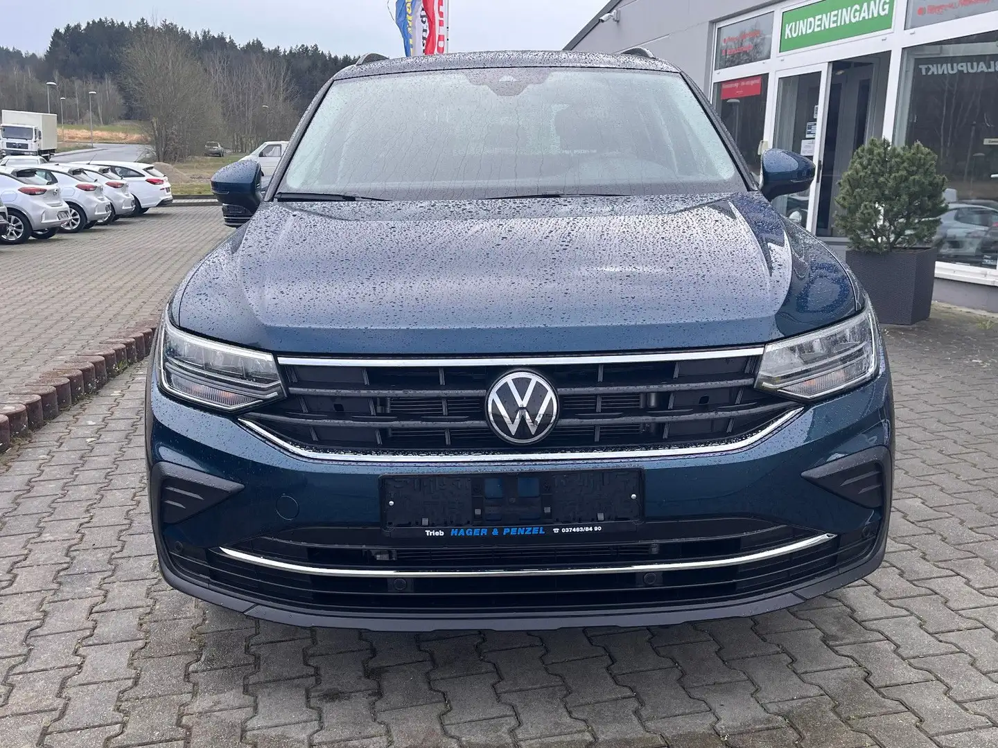 Volkswagen Tiguan Volkswagen Tiguan Life LED, ACC, App-Connect Blauw - 2