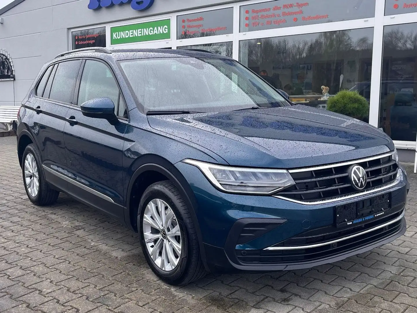 Volkswagen Tiguan Volkswagen Tiguan Life LED, ACC, App-Connect Blauw - 1