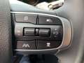 Kia Sportage 1,6 TGDI PHEV AWD Gold Aut. Schwarz - thumbnail 13