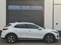 Kia XCeed Vision PHEV TEMP SHZ LED DAB Blanc - thumbnail 8