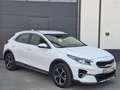 Kia XCeed Vision PHEV TEMP SHZ LED DAB Blanc - thumbnail 1
