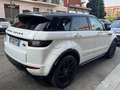 Land Rover Range Rover Evoque 2016 5p 2.0 td4 HSE Dynamic 180cv auto/Tetto Panor Bianco - thumbnail 4