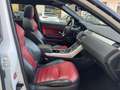 Land Rover Range Rover Evoque 2016 5p 2.0 td4 HSE Dynamic 180cv auto/Tetto Panor Bianco - thumbnail 13