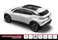 VinFast Sonstige PLUS 59,6 kWh+360-Kamera+HUD+Panorama+ Weiß - thumbnail 2
