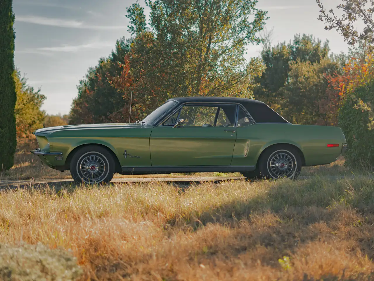Ford Mustang Coupé, foto 9