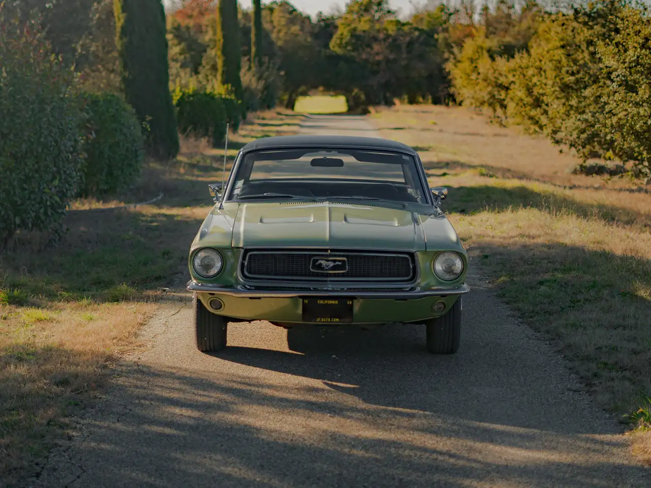 Ford Mustang Coupé, foto 8