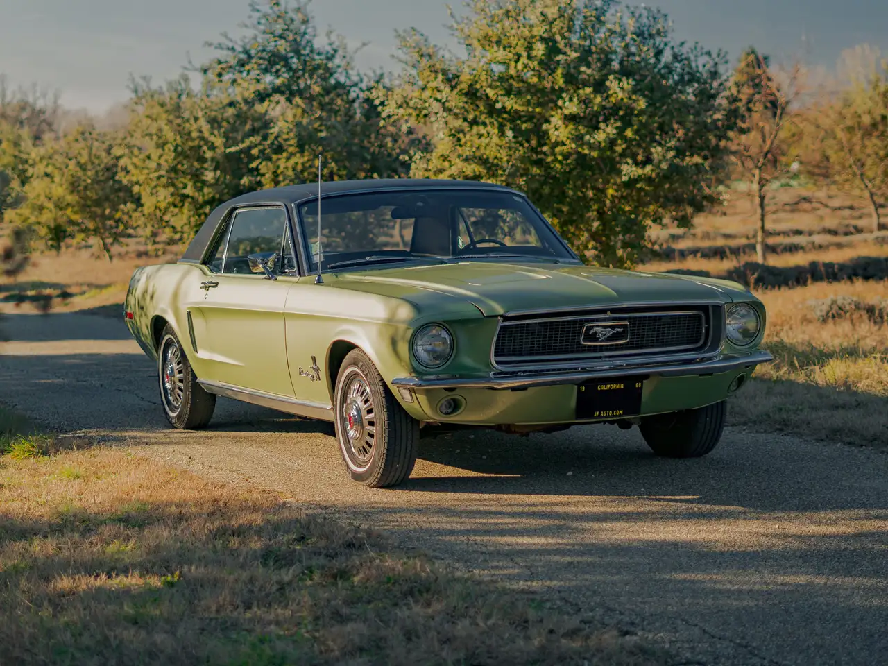 Ford Mustang Coupé, foto 11