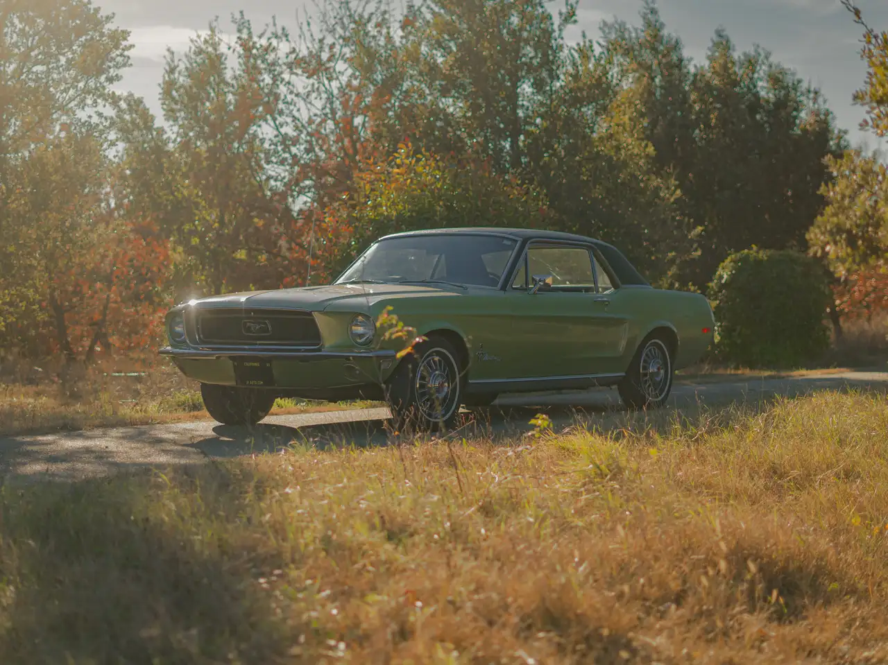 Ford Mustang Coupé, foto 10