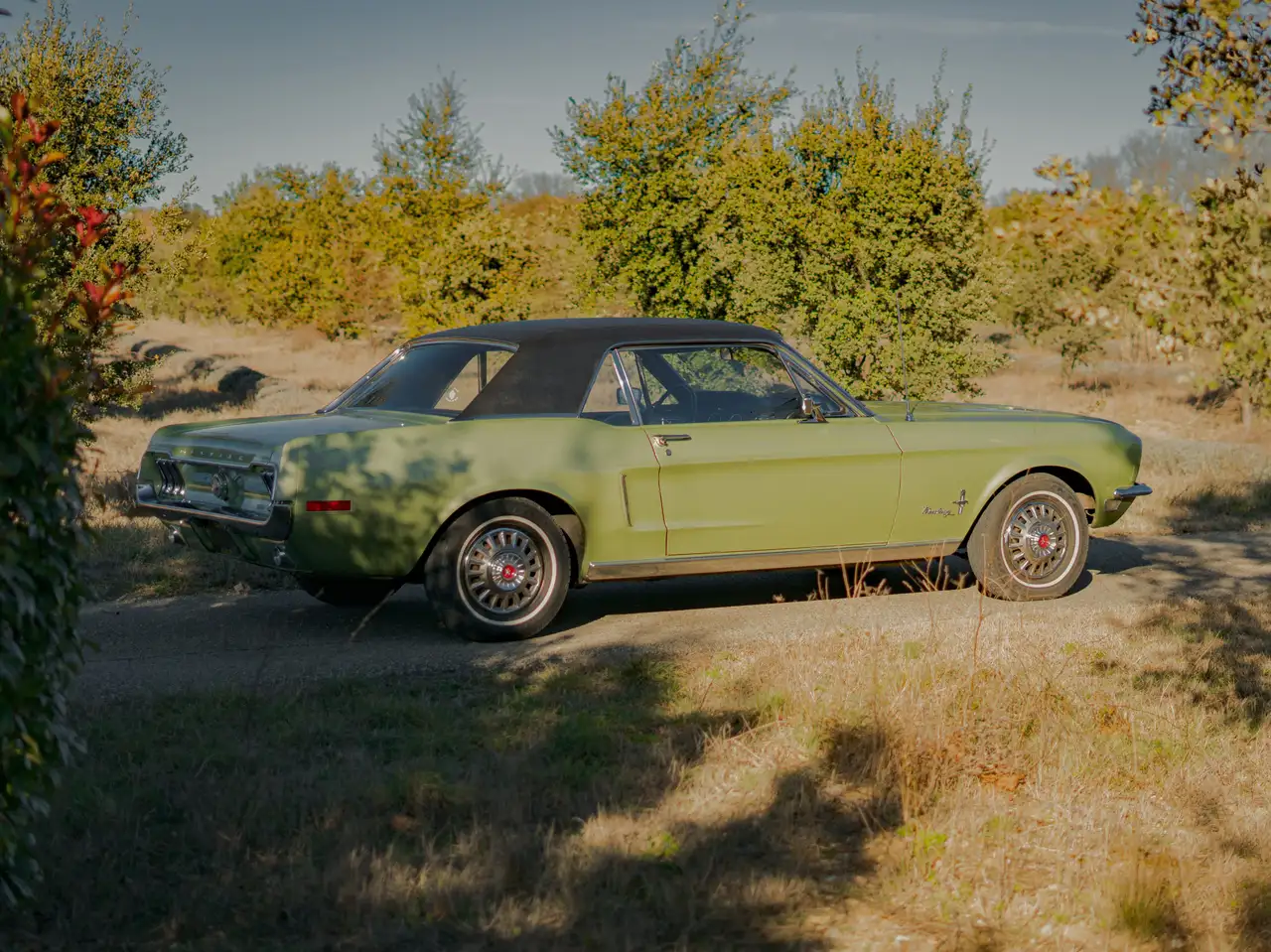 Ford Mustang Coupé, foto 12
