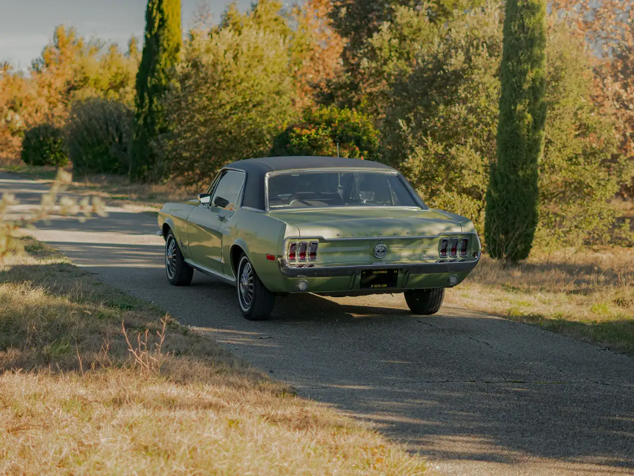 Ford Mustang Coupé, foto 2