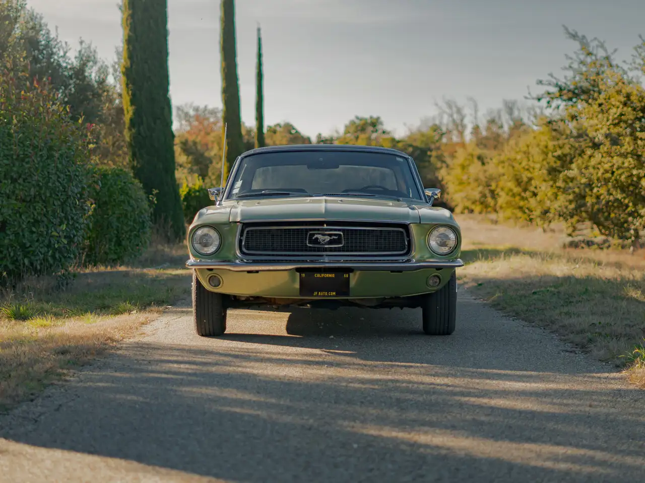 Ford Mustang Coupé, foto 6