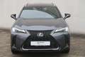 Lexus UX 250h F SPORT Design Gris - thumbnail 9