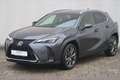 Lexus UX 250h F SPORT Design Gris - thumbnail 8
