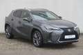 Lexus UX 250h F SPORT Design Gris - thumbnail 2
