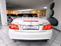 Mercedes-Benz E 350 CGI Cabrio*AMG Paket*Facelift* Weiß - thumbnail 10
