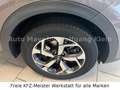 Kia Sportage 1.6 Vision 4WD Navi, Komfort, 1.Hd. Grau - thumbnail 4
