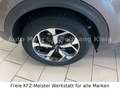 Kia Sportage 1.6 Vision 4WD Navi, Komfort, 1.Hd. Grau - thumbnail 6