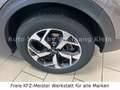 Kia Sportage 1.6 Vision 4WD Navi, Komfort, 1.Hd. Grau - thumbnail 10