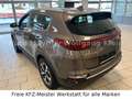 Kia Sportage 1.6 Vision 4WD Navi, Komfort, 1.Hd. Grau - thumbnail 9