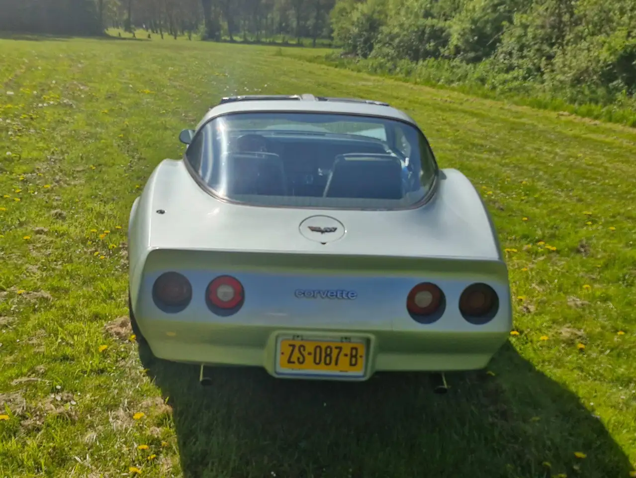 Chevrolet Corvette 1 YZ 87, foto 4