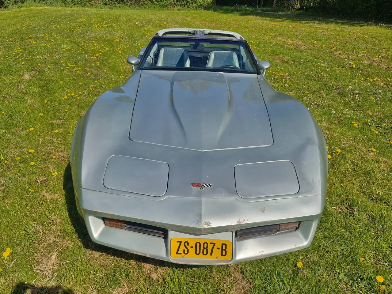 Chevrolet Corvette 1 YZ 87, foto 5