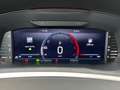 Skoda Superb Superb Combi 2.0TDi DSG • CarPlay•Navi•ACC Argent - thumbnail 20