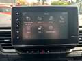 Renault Trafic Grand Passenger Bus dCi 150 Grau - thumbnail 14