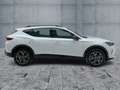 CUPRA Formentor 1.5 eTSI DSG LED+NAVI+APP+ACC+SHZ+PDC Weiß - thumbnail 7
