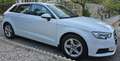 Audi A3 A3 Sportback 35 TFSI Blanco - thumbnail 15