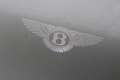 Bentley Continental GT 4.0 V8 | NAIM Audio | Rotating Display | Head-Up | Gris - thumbnail 42