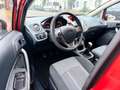 Ford Fiesta 1.25i Trend/TÜV NEU/ALLWETTER/BLUETOOTH Orange - thumbnail 13