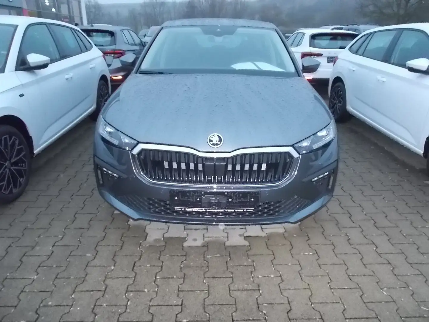 Skoda Scala Drive Grau - 2