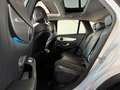 Mercedes-Benz GLC 250 d 4matic Amg Premium Tetto Dvd Cerchi 20 Full Opt Gris - thumbnail 9