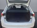 Skoda Scala Essence 1,0 TSI 70 kW 5-Gang mech. Blanc - thumbnail 19