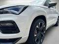 CUPRA Ateca 2.0 TSI 4Drive DSG VZ *Pano* Weiß - thumbnail 4