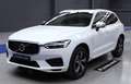 Volvo XC60 D4 R-Design Aut. Blanco - thumbnail 5