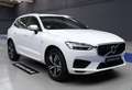 Volvo XC60 D4 R-Design Aut. Blanco - thumbnail 2