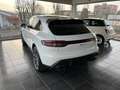 Porsche Macan 2.0 T - Km Zero - Full Optionals Blanc - thumbnail 5