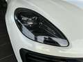 Porsche Macan 2.0 T - Km Zero - Full Optionals Білий - thumbnail 11