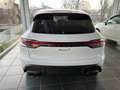 Porsche Macan 2.0 T - Km Zero - Full Optionals Blanco - thumbnail 7