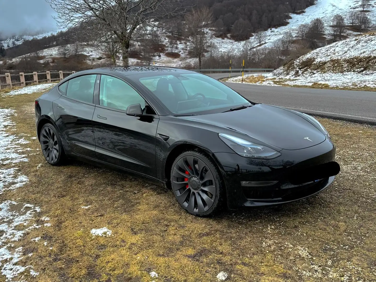 Tesla Model 3 Model 3 Performance Dual Motor awd (con APA) Nero - 1
