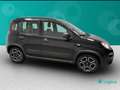 Fiat New Panda 1.0 FireFly Hybrid City Life Negro - thumbnail 8