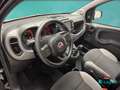 Fiat New Panda 1.0 FireFly Hybrid City Life Negro - thumbnail 13