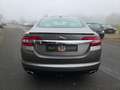 Jaguar XF 3.0D V6 Premium Luxury FULL 201124 KM NAP! Grijs - thumbnail 9
