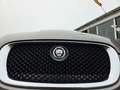 Jaguar XF 3.0D V6 Premium Luxury FULL 201124 KM NAP! Grijs - thumbnail 16