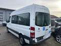 Mercedes-Benz Sprinter 313 CDI Sprinter*7-Sitze*2xKlima*Rampe* Weiß - thumbnail 2
